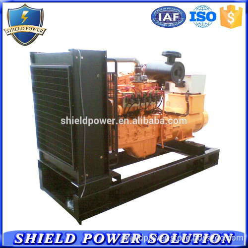 Professional Factory Customize CNG Natural Gas and Methane Gas Powered Generator Set